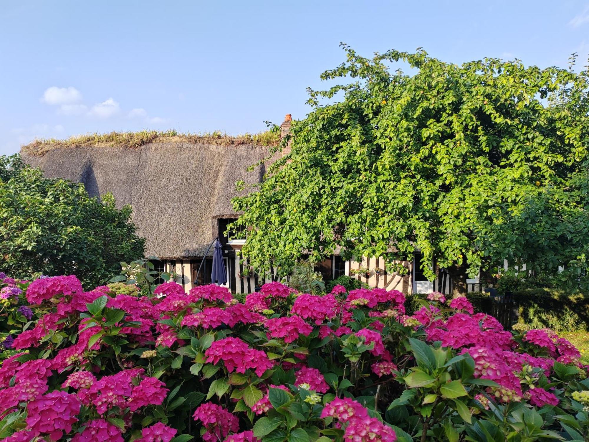 La Maraiquaise Villa Marais-Vernier Exteriör bild