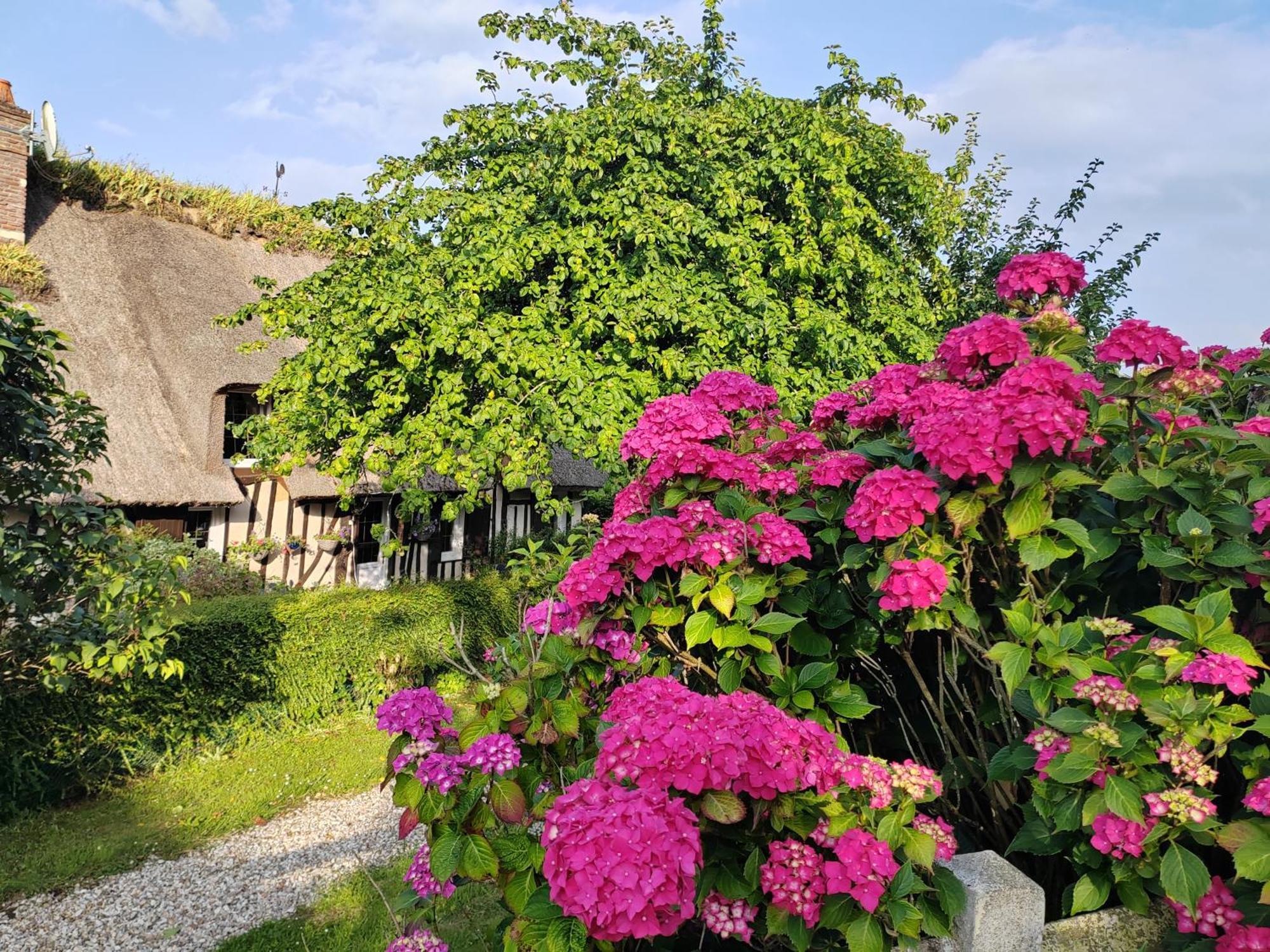 La Maraiquaise Villa Marais-Vernier Exteriör bild